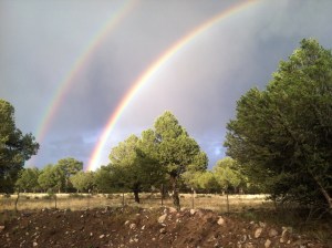 Double rainbow III