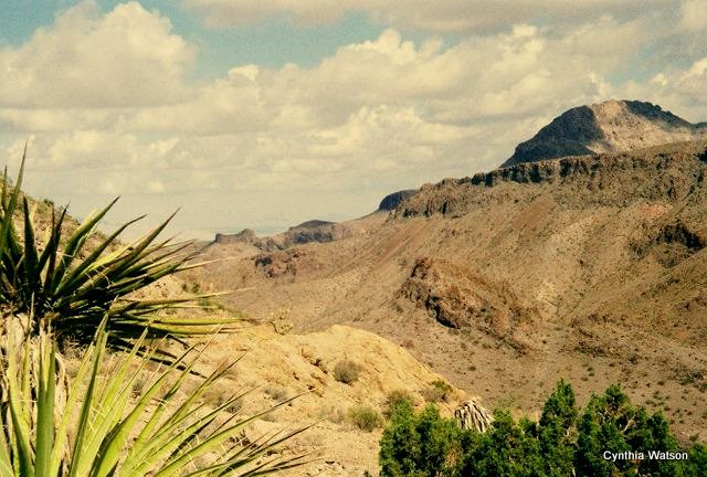 Arizona!