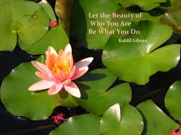 beauty of you
