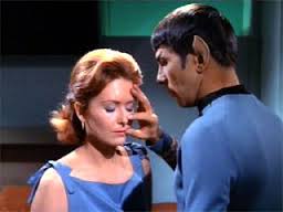 spock-mind meld