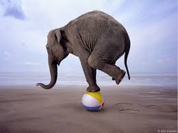 balancing act II