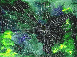 spider-web