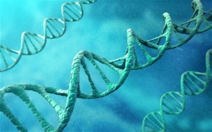 Junk-DNA-Our-Interdimensional-Doorway-to-Transformation
