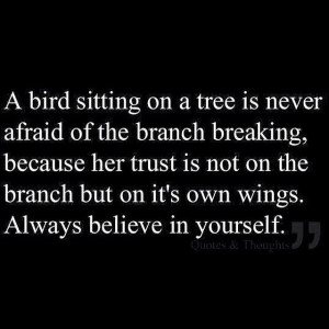 bird wings and trust