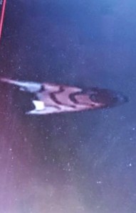 Arcturus__craft