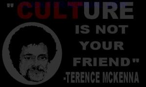 terence-mckennas-quotes-5
