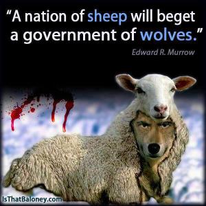 sheepwolf