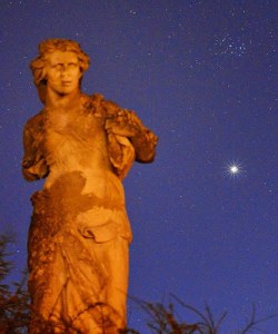 VenPleiades