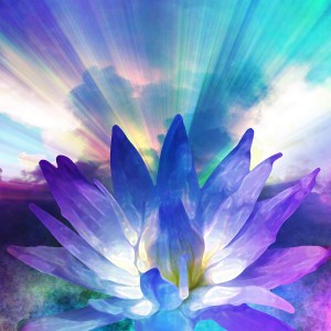 bigstock-Lotus-light-16045187