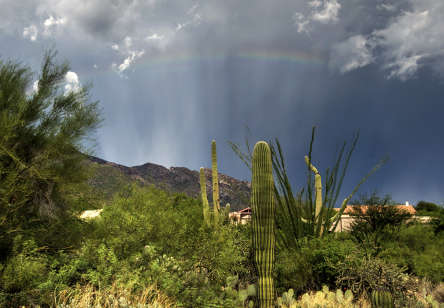 Eliot-Herman-Rainbow-and-anticrepuscular-ray-during-monsoon-sw_14403412691-444x308