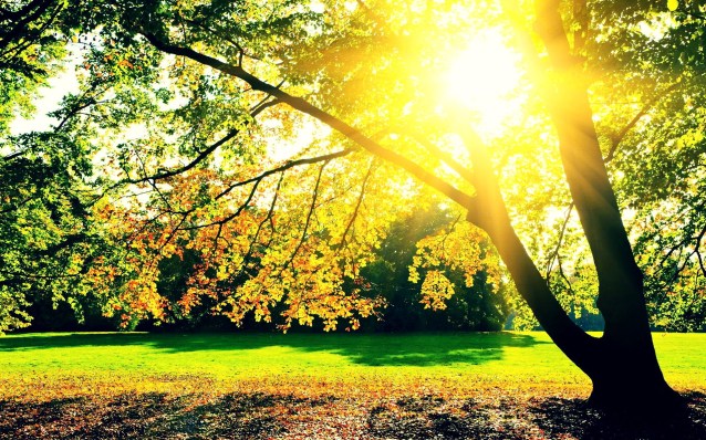 sun