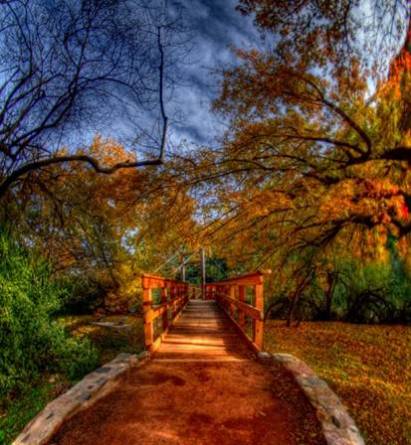 fall