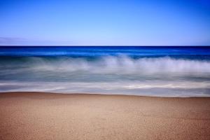 surf