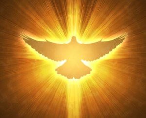 dove of peace