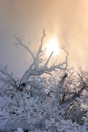 winter.com