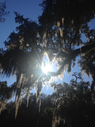 sunburst