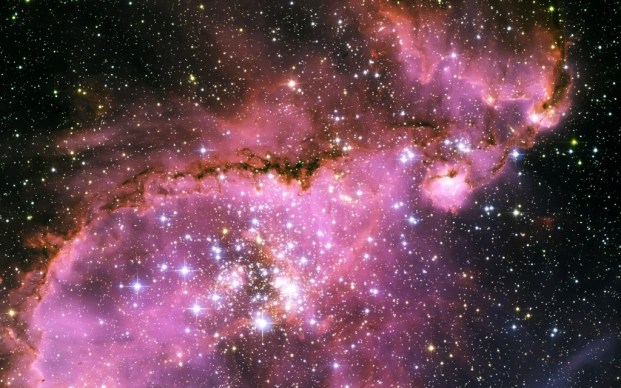 stars
