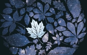 leaves.com