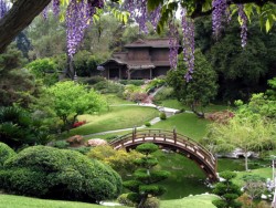 zen-garden-250x188
