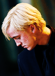 draco