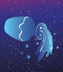 310x358-aquarius-cosmic