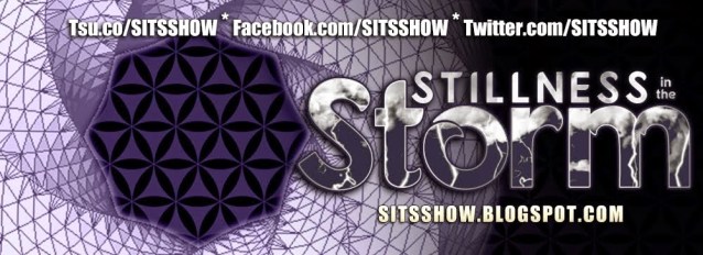 SITS Banner Blog Hex Torus
