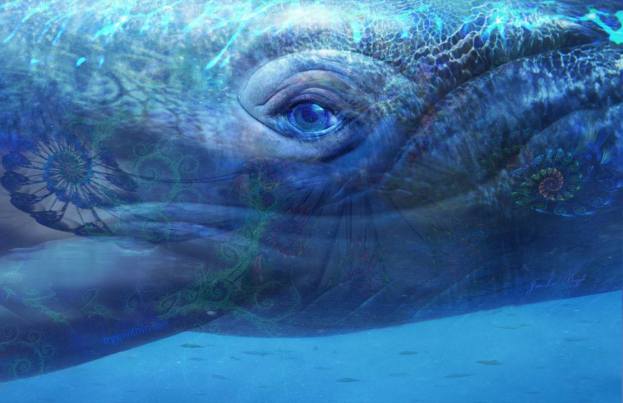 whale