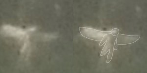 fairy2-1