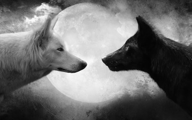Full-Moon-in-Capricorn-The-Zero-Point-Between-Endings-and-Beginnings-Limitations-and-Potentials-3