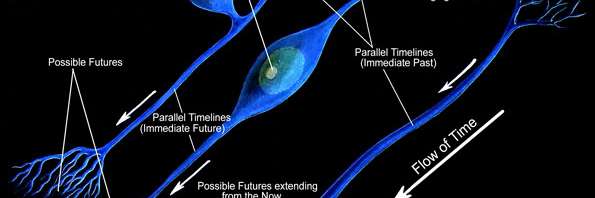 neurotimlines
