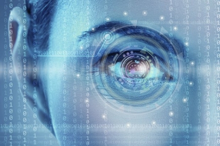 eye