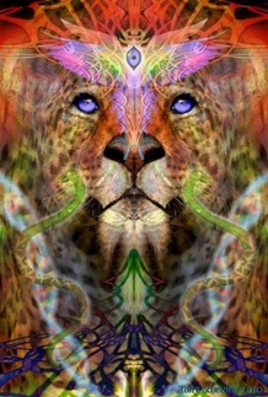 Lions gate