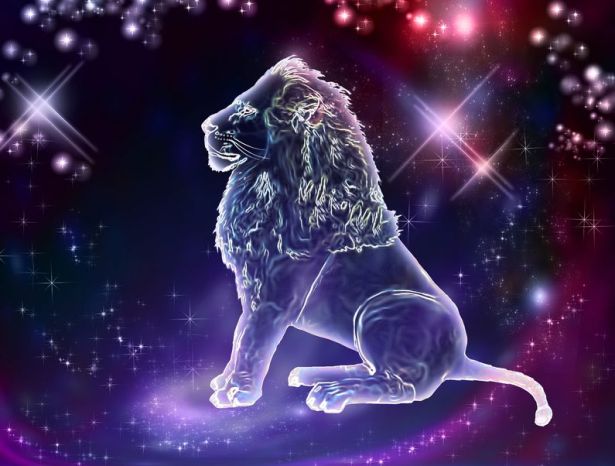 20428908 - lion is the king of animals  the constellation of leo is a sign of the leaders  a strong spirit, strong body, strong will