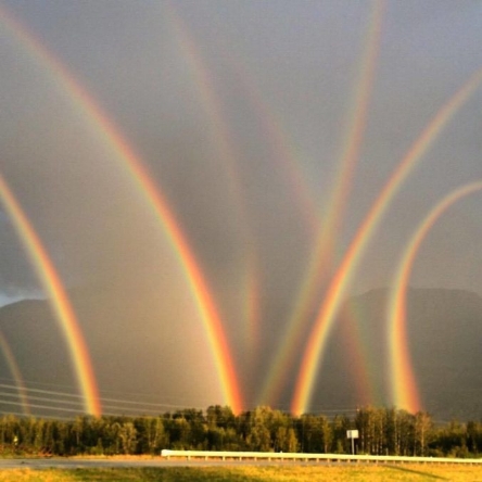 rainbow