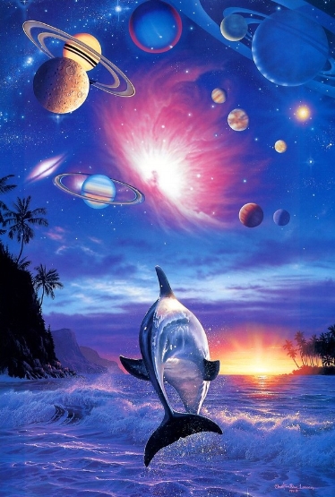 dolphins