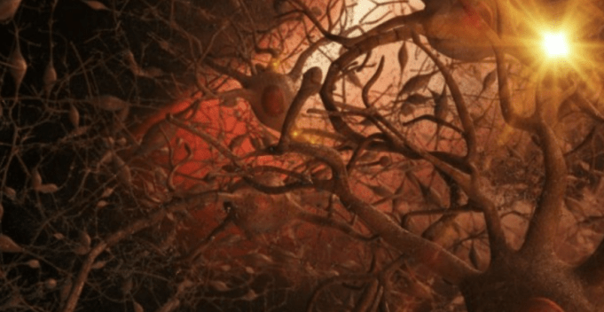 alzheimers-cure-son