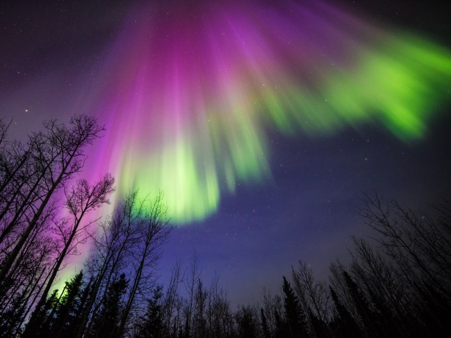 aurora-ii
