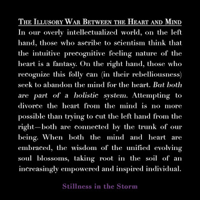 the-illusory-war-between-the-heart-and-mind