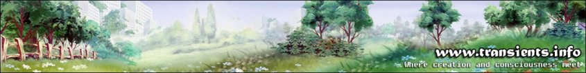 transients-creation-2