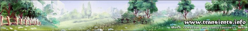 transients-creation-2