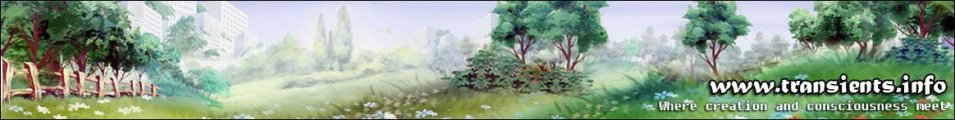 transients-creation-2