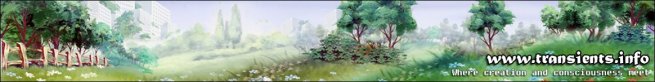 transients-creation-2