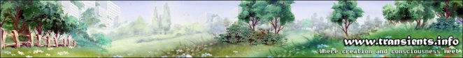 transients-creation-2