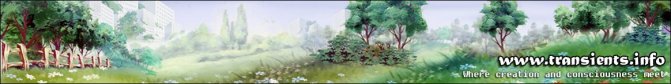 transients-creation-2