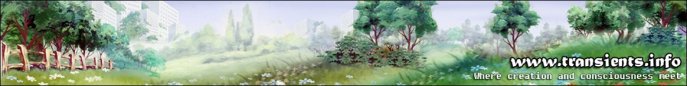 transients-creation-2