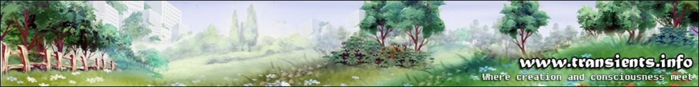 transients-creation-2