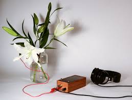 singing-plant