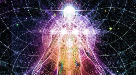 light-body