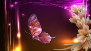 butterfly