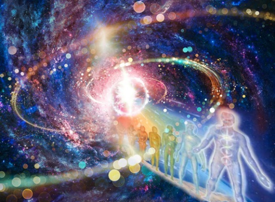 dna-peopleportal_orig